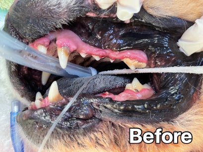 หินปูนตัวร้ายยย